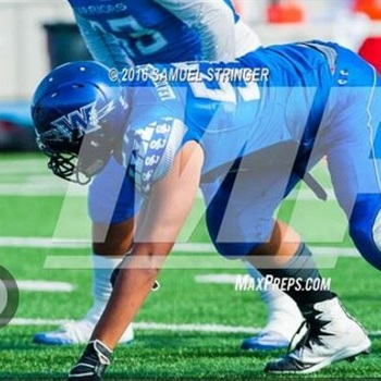 Stephen Leaupepetele