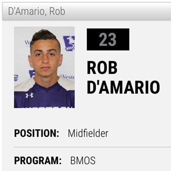 Robert D'Amario