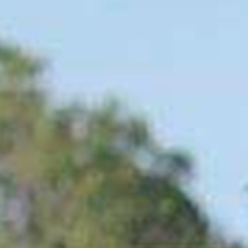 Coach Tom,& Blane Jaxtheimer