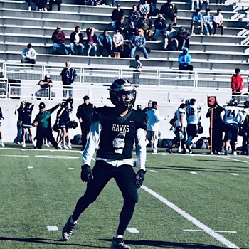 Andres Desi Castillo