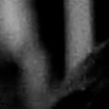 Francisco Adrian Salinas III