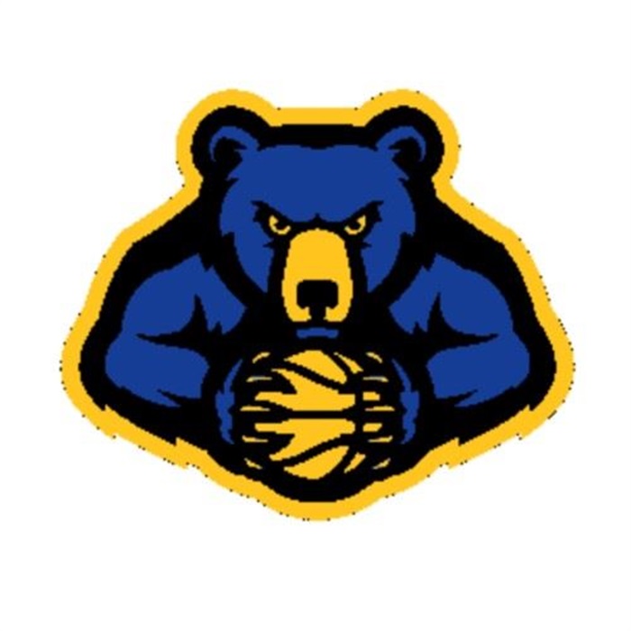 AlcesterHudson Boys Varsity Basketball High School Sports Home Hudl