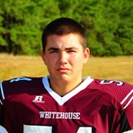 Wade Vestal