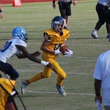 Alvaro Ortega-Morales