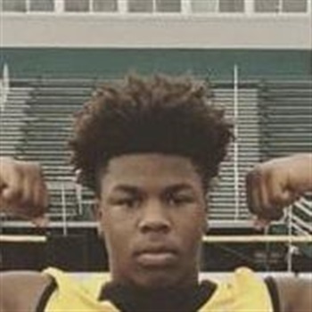 Al-Sharif Plant Wiley