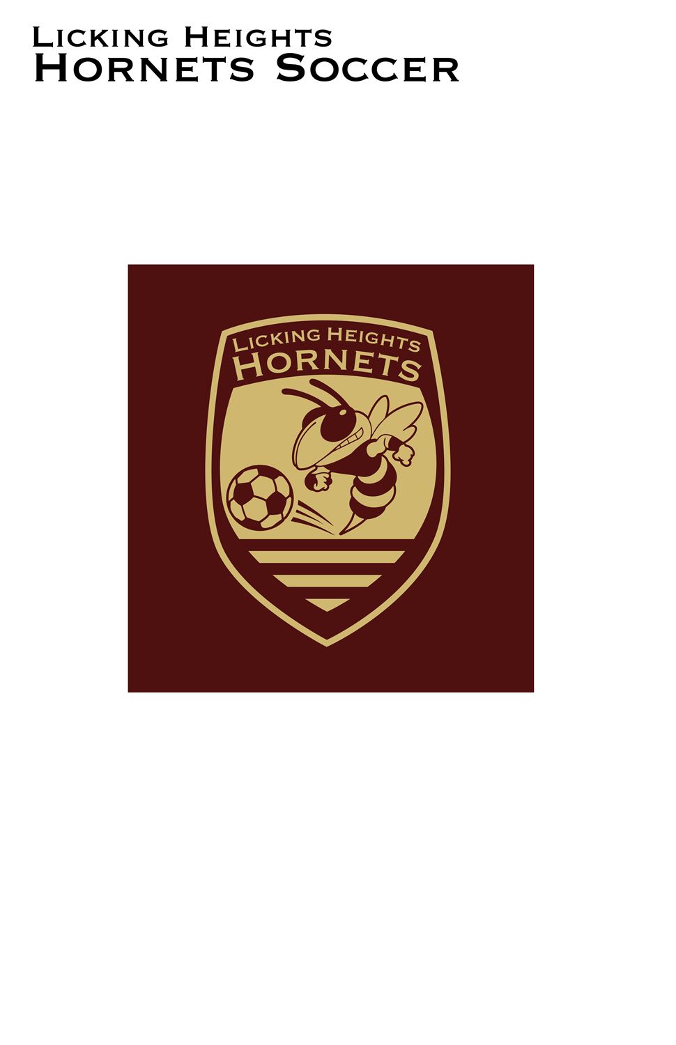 Youth Hornets Tee - Youth XS / Light Grey / Licking Heights Hornet, image size:970x1500
