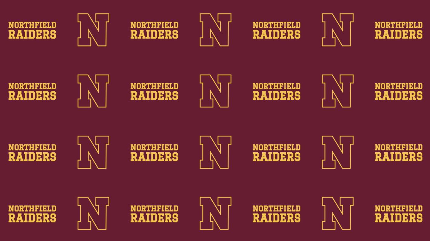 Girls Varsity Hockey Northfield High School Northfield Minnesota Ice Hockey Hudl