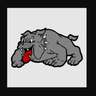 Freedom Area High School (WPIAL) High School Sports Home Hudl