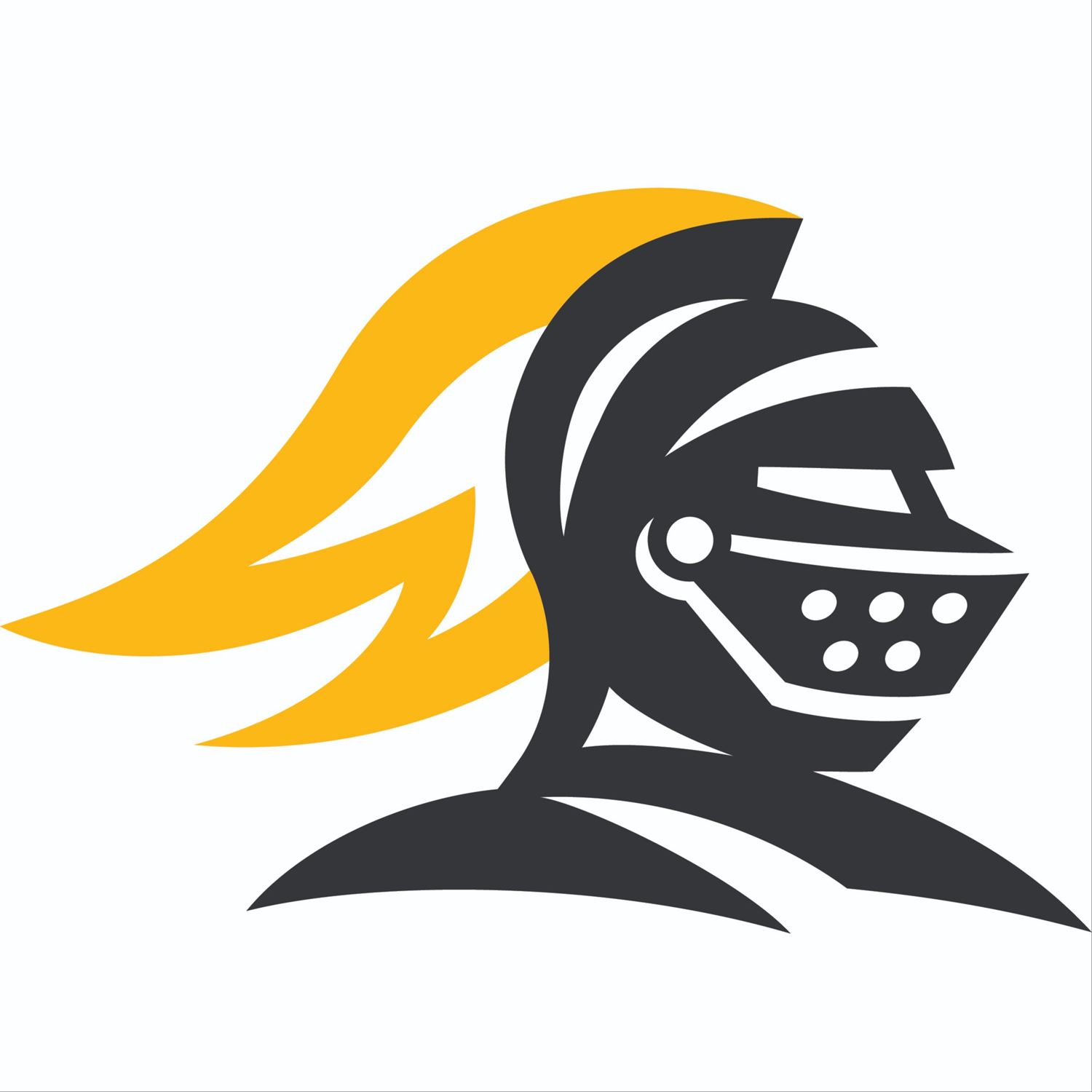 foothill-high-school-high-school-sports-home-hudl