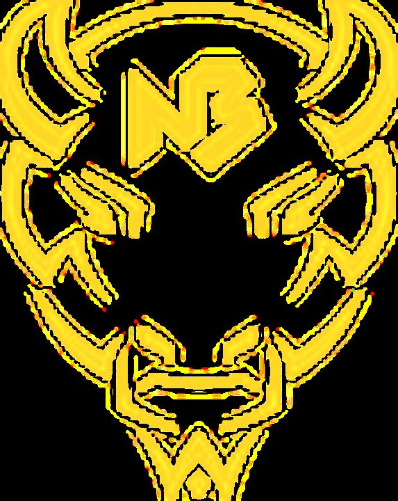 Red Arrow Raiders Varsity Football New Buffalo High School New