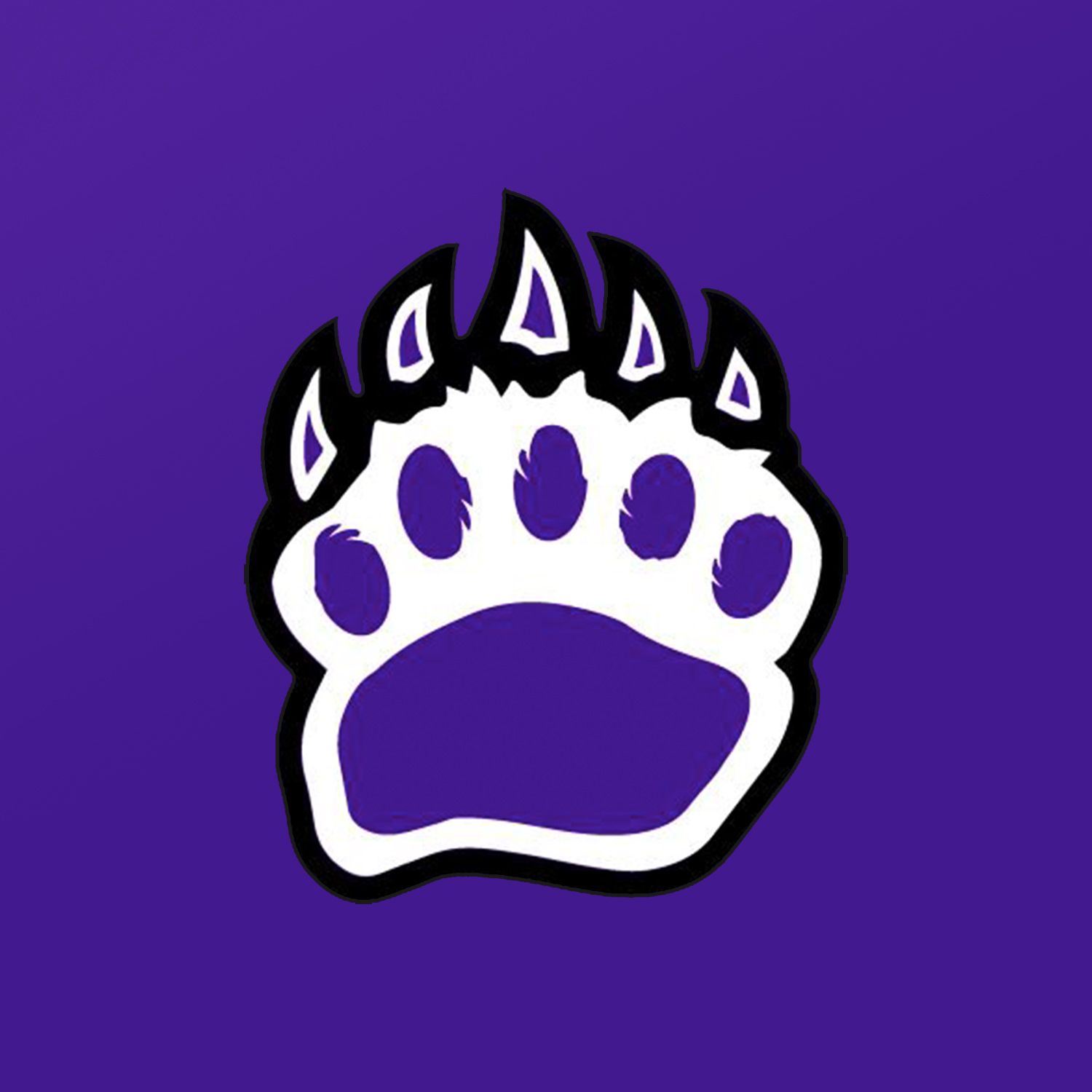 How Alyssa D'Alessio Uses Hudl To Achieve Success - o9fjitd