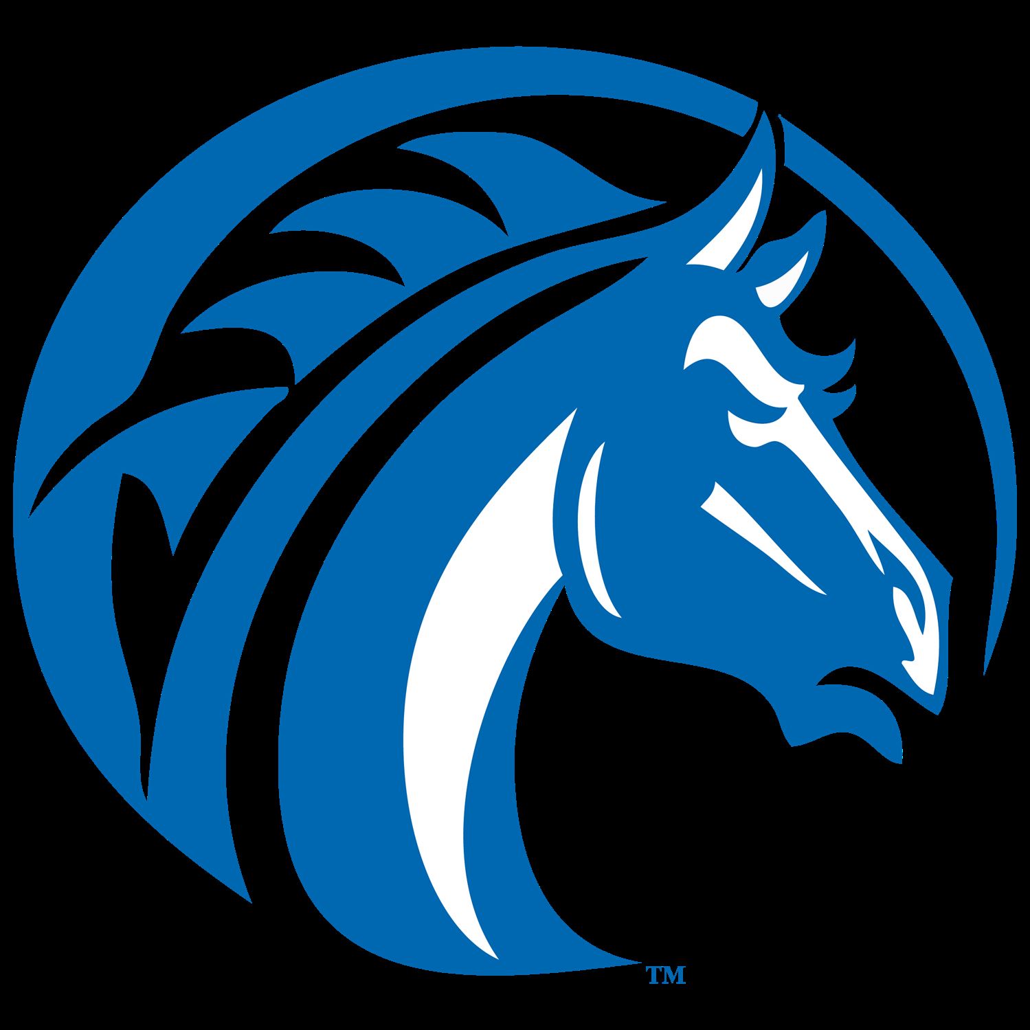 FAYETTEVILLE STATE UNIVERSITY visual data 7