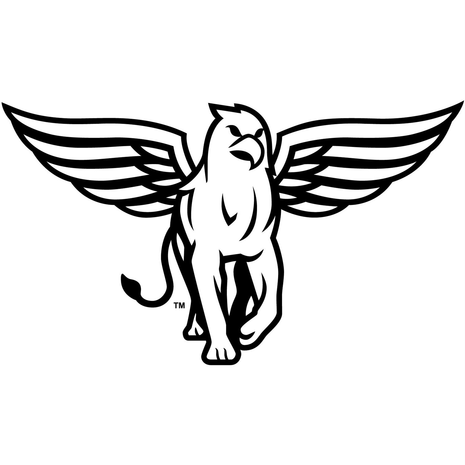 Eagle Ridge Academy High School Sports Home Hudl