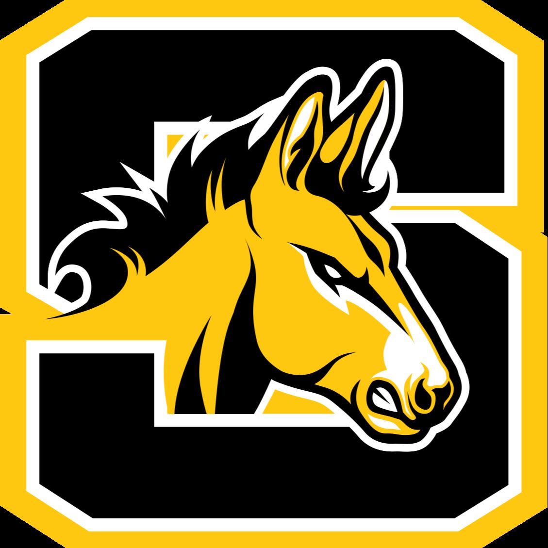 Solanco High School High School Sports Home Hudl