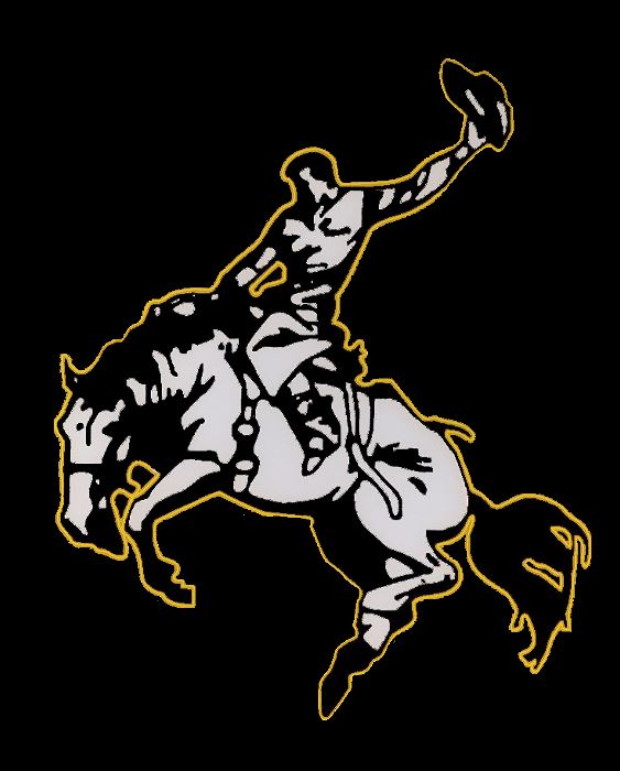 Boys Varsity Football Woodson High School Woodson, Texas Football