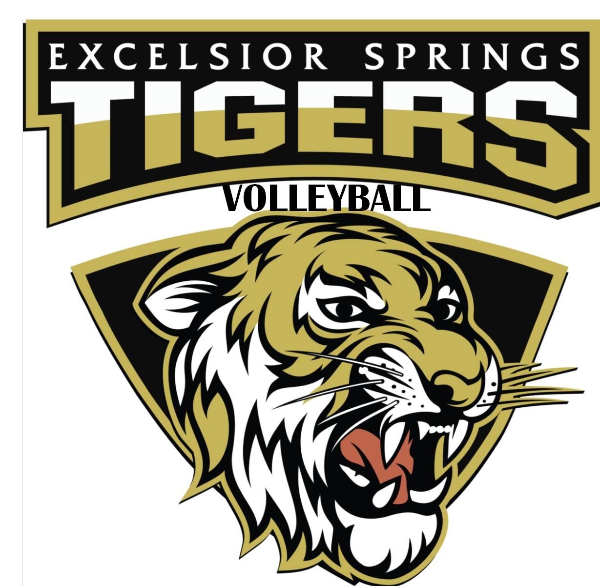 Girls Varsity Volleyball Excelsior Springs High School Excelsior 