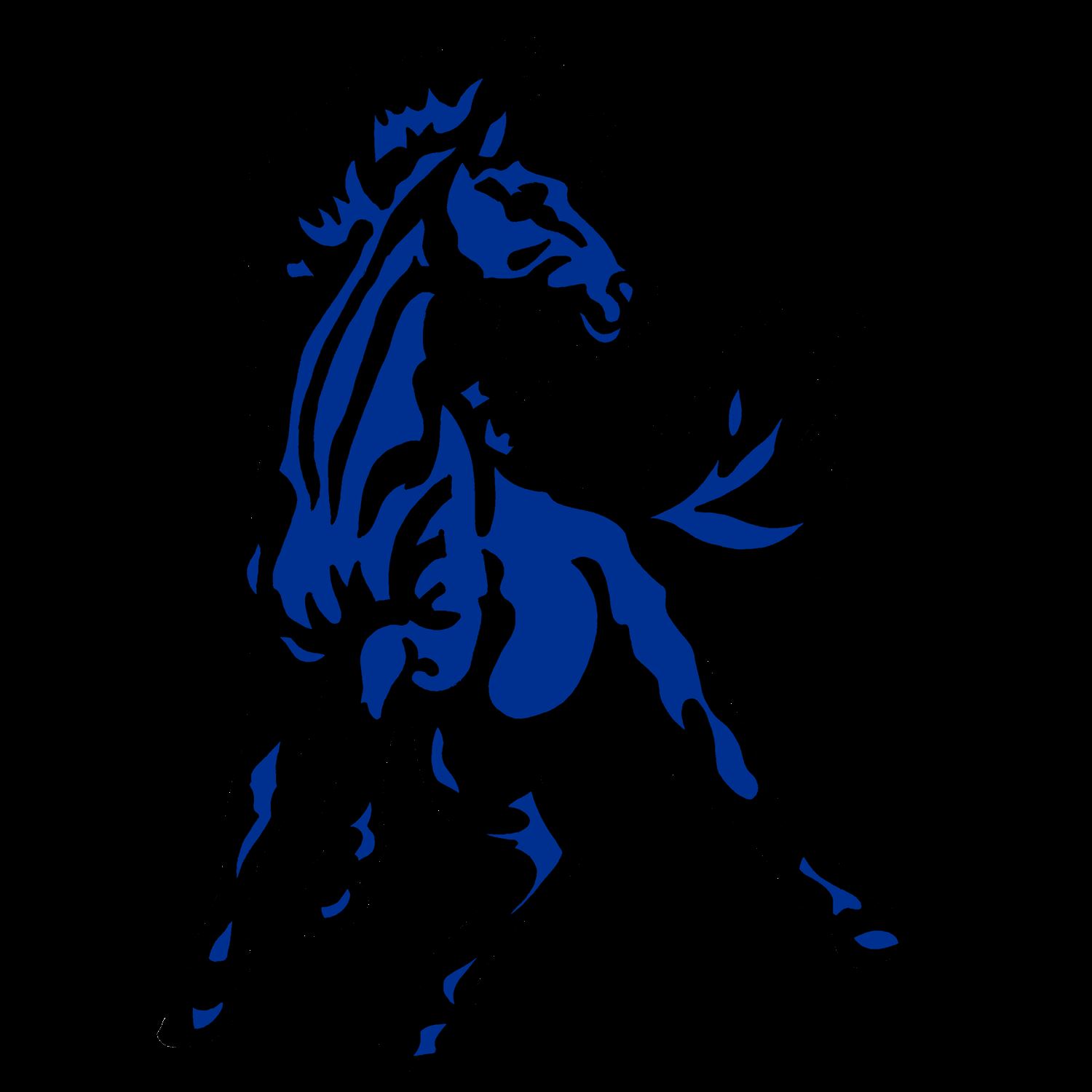 Buffalo LakeHectorStewart High School High School Sports Home Hudl