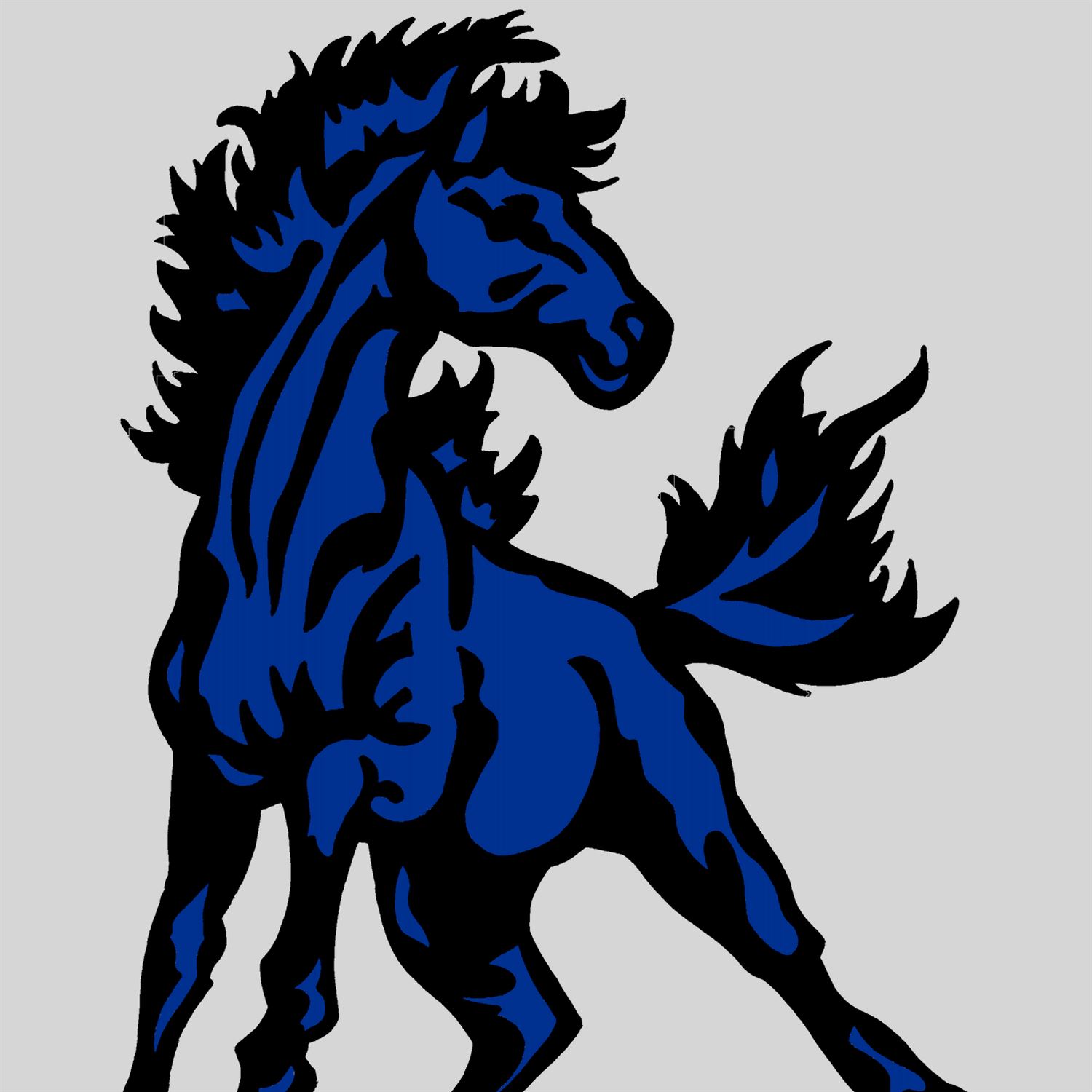 Buffalo Lake Hector Stewart High School High School Sports Schedule Buffalo Lake Hector Stewart High School High School Sports Schedule