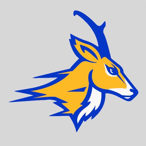 Whiteface High School High School Sports Home Hudl