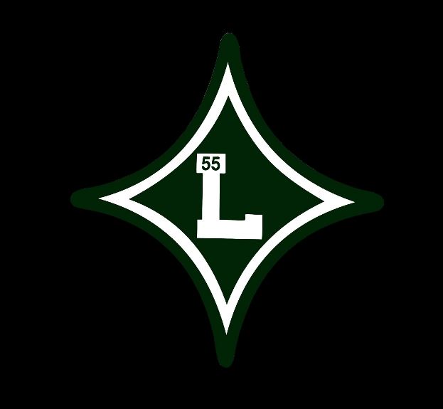 boys-varsity-football-laurens-high-school-laurens-south-carolina