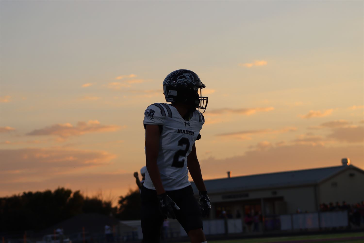 Joaquin Arias Upper Deck #47 Rangers Rookie Card Baseball Card 2007 – Fun  Stuff Super Store, image size:1500x999