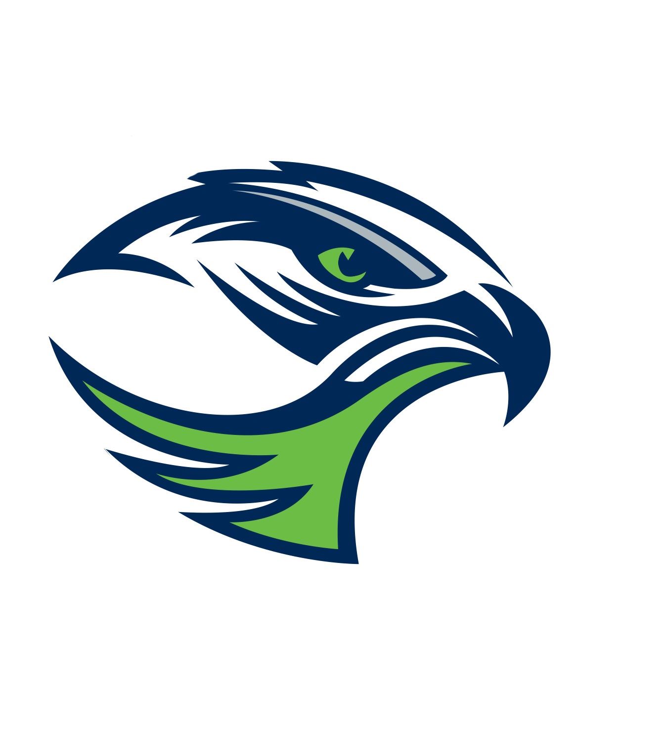 Boys' Varsity Football Ridgeline High School Millville, Utah