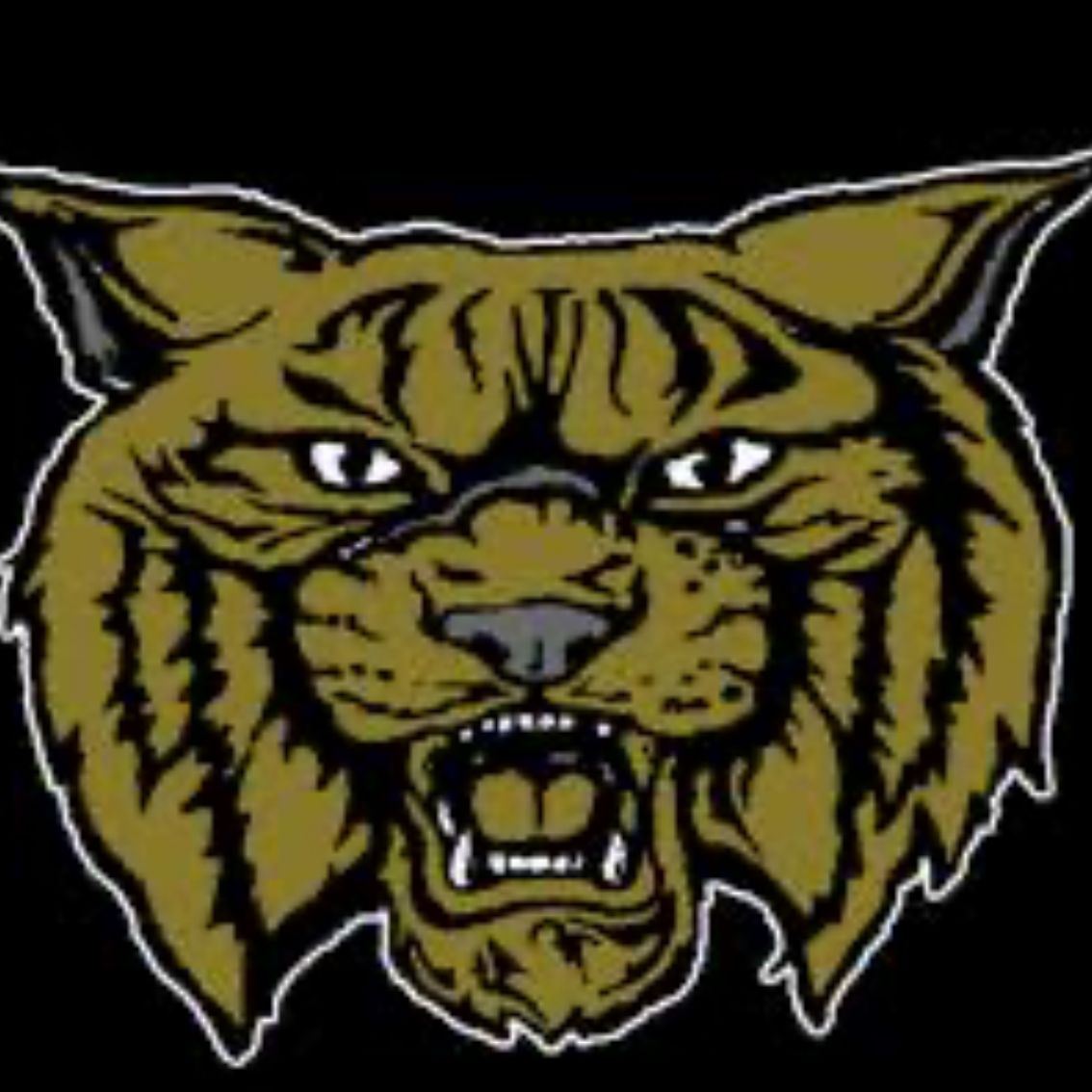 Rison High School High School Sports Home Hudl rison-high-school-high-school-sports-home-hudl