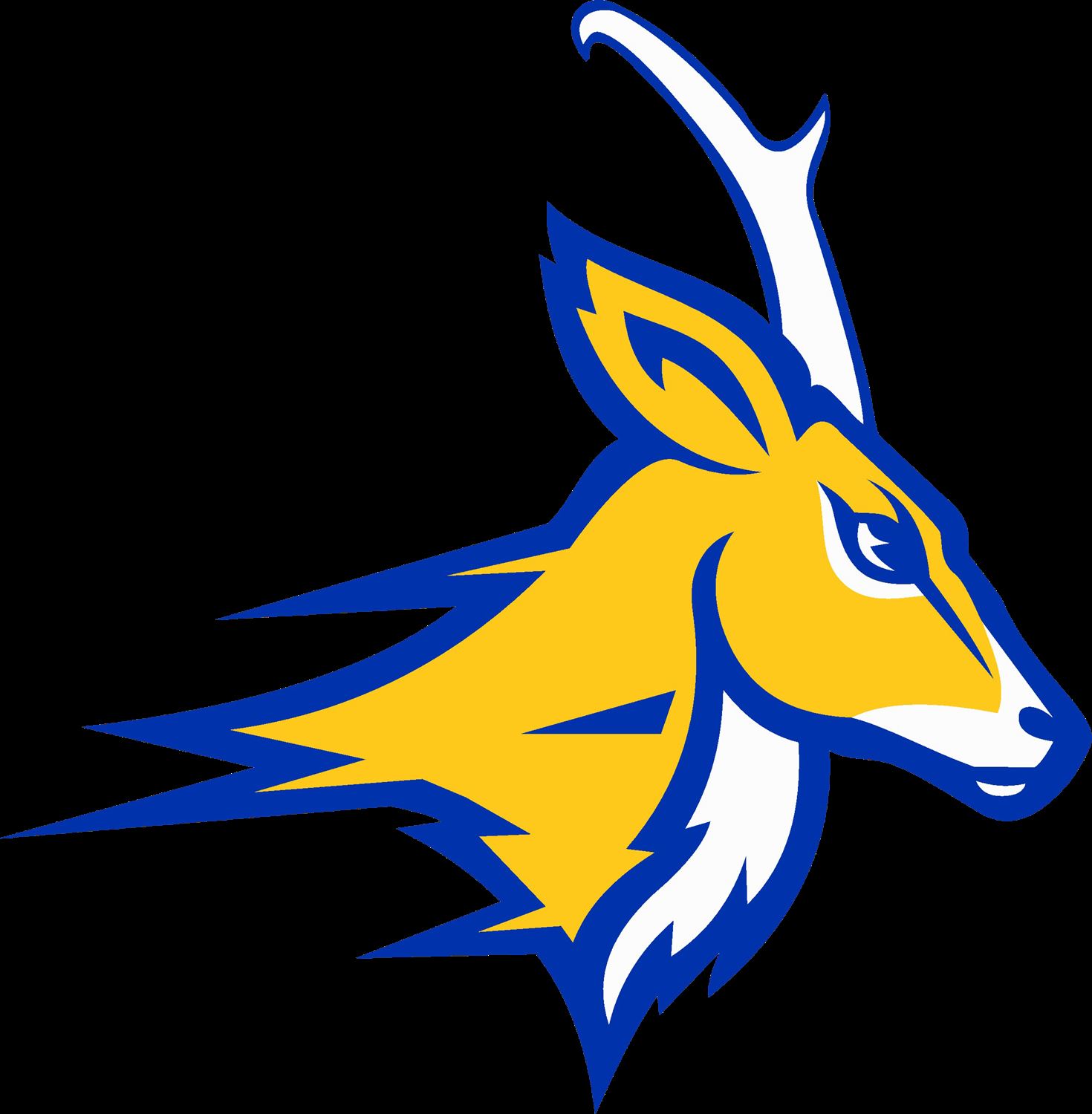 Whiteface Varsity Football Whiteface High School Whiteface, Texas