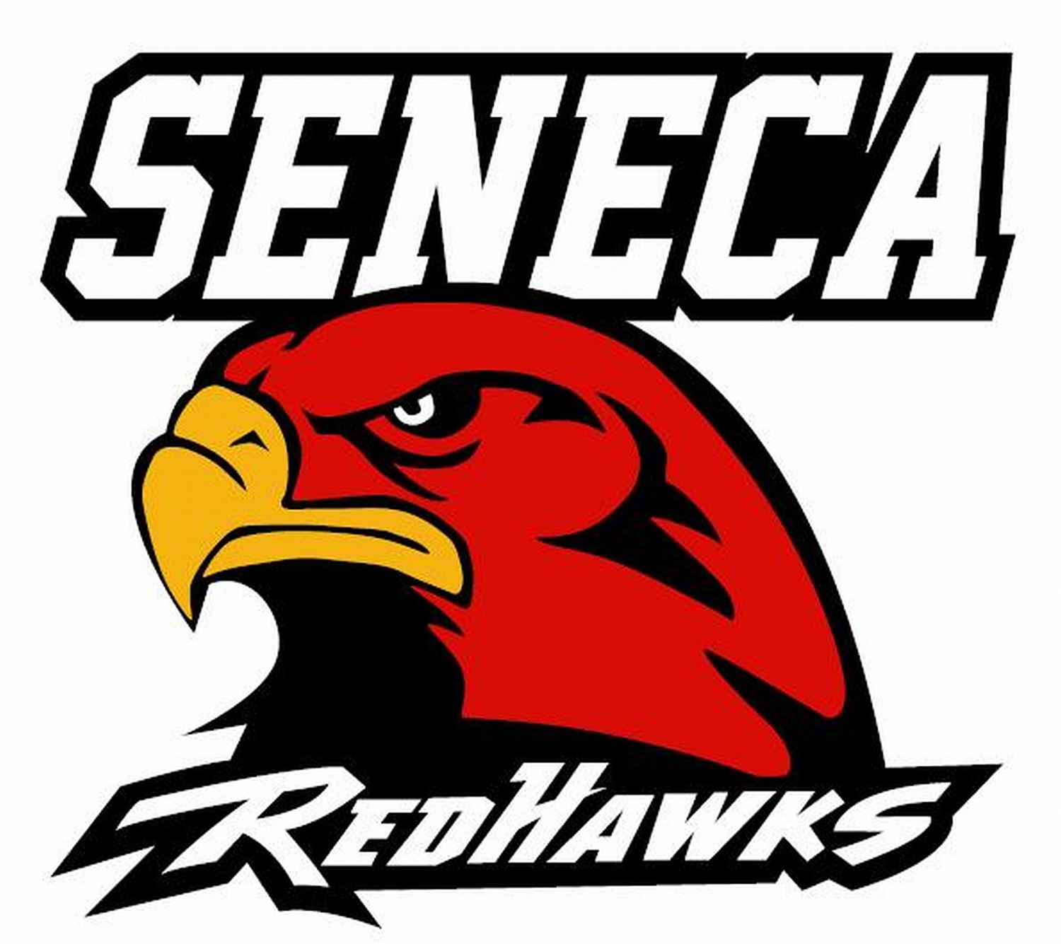 boys-varsity-football-seneca-high-school-louisville-kentucky