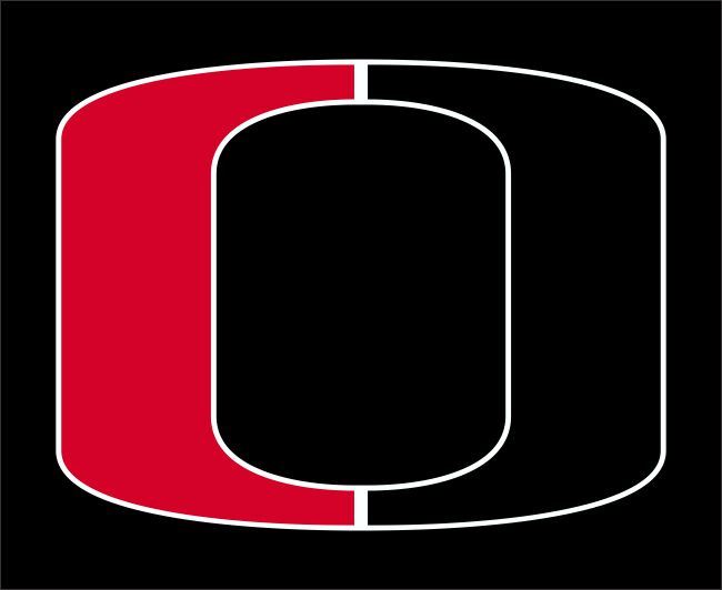 Boys Varsity Football Odessa High School Odessa, Missouri