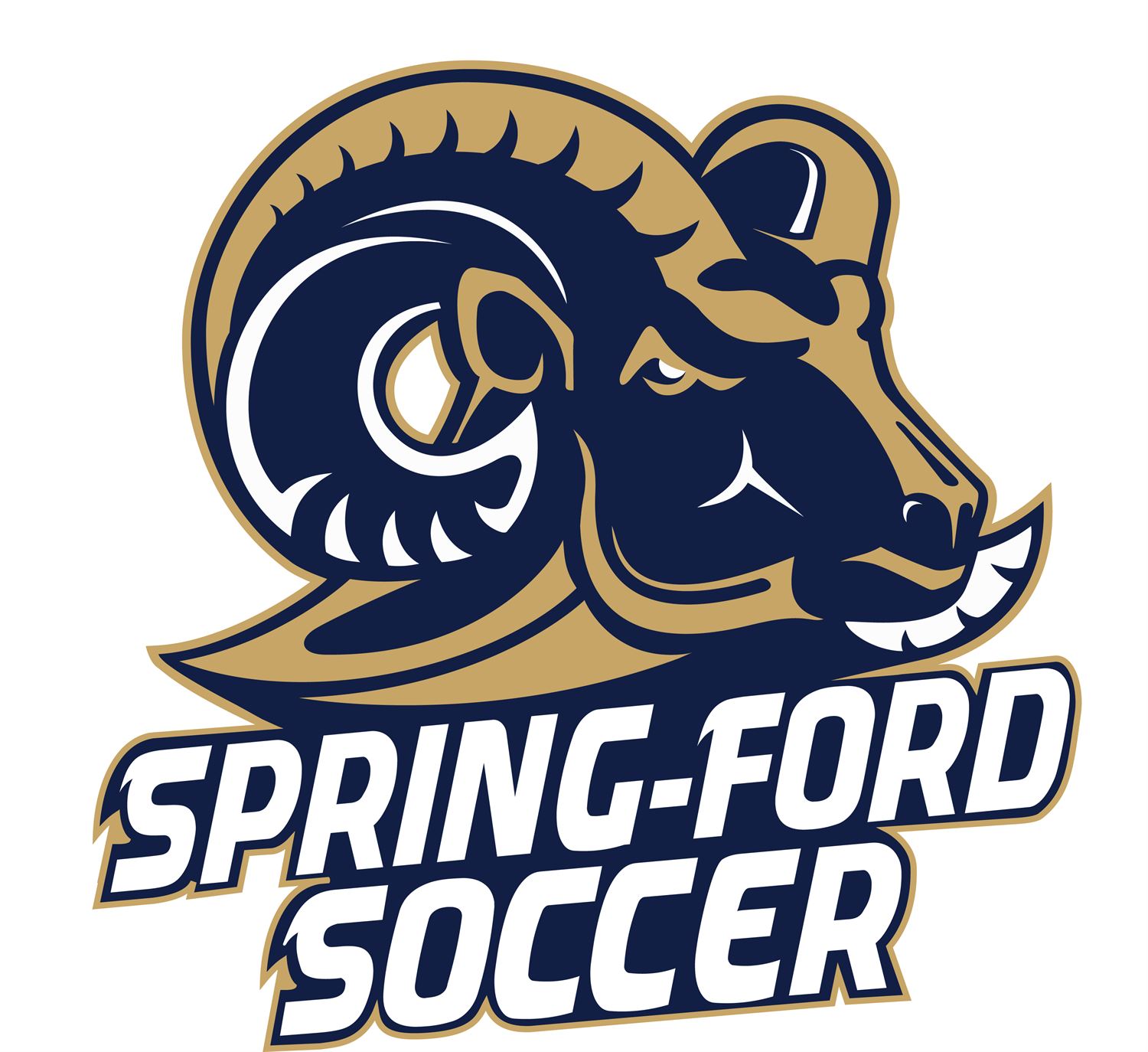 SpringFord Soccer SpringFord High School Royersford, Pennsylvania