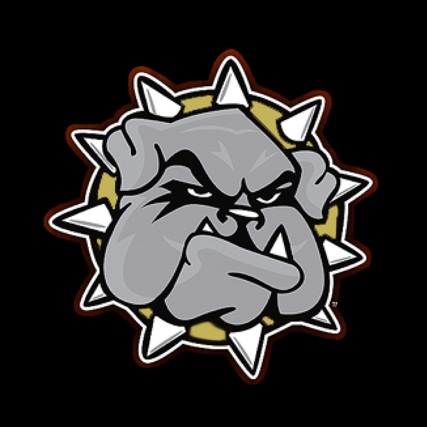 Girls Varsity Basketball Alvord High School Alvord, Texas