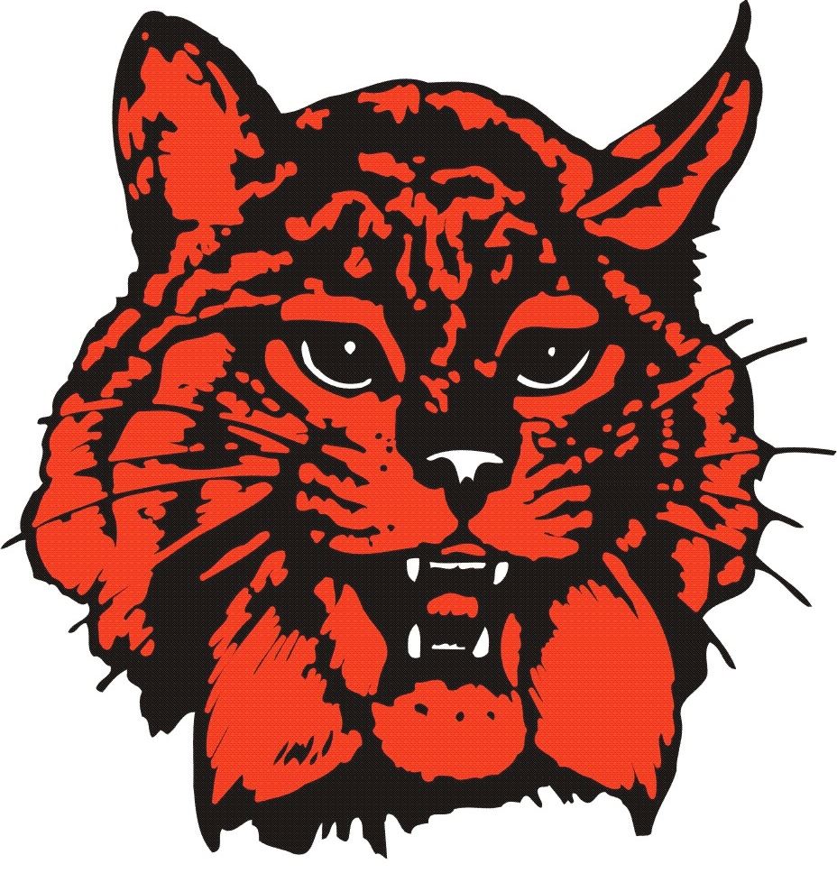 boys-varsity-ice-hockey-bowling-green-high-school-bowling-green