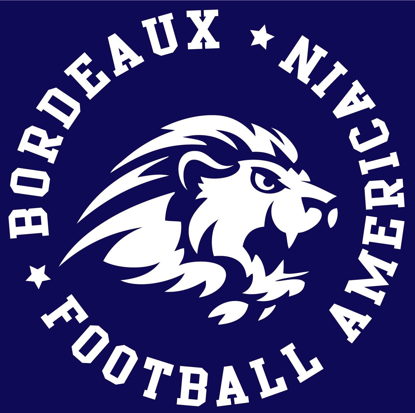 Lions de Bordeaux Lions de Bordeaux Talence, France Football Hudl