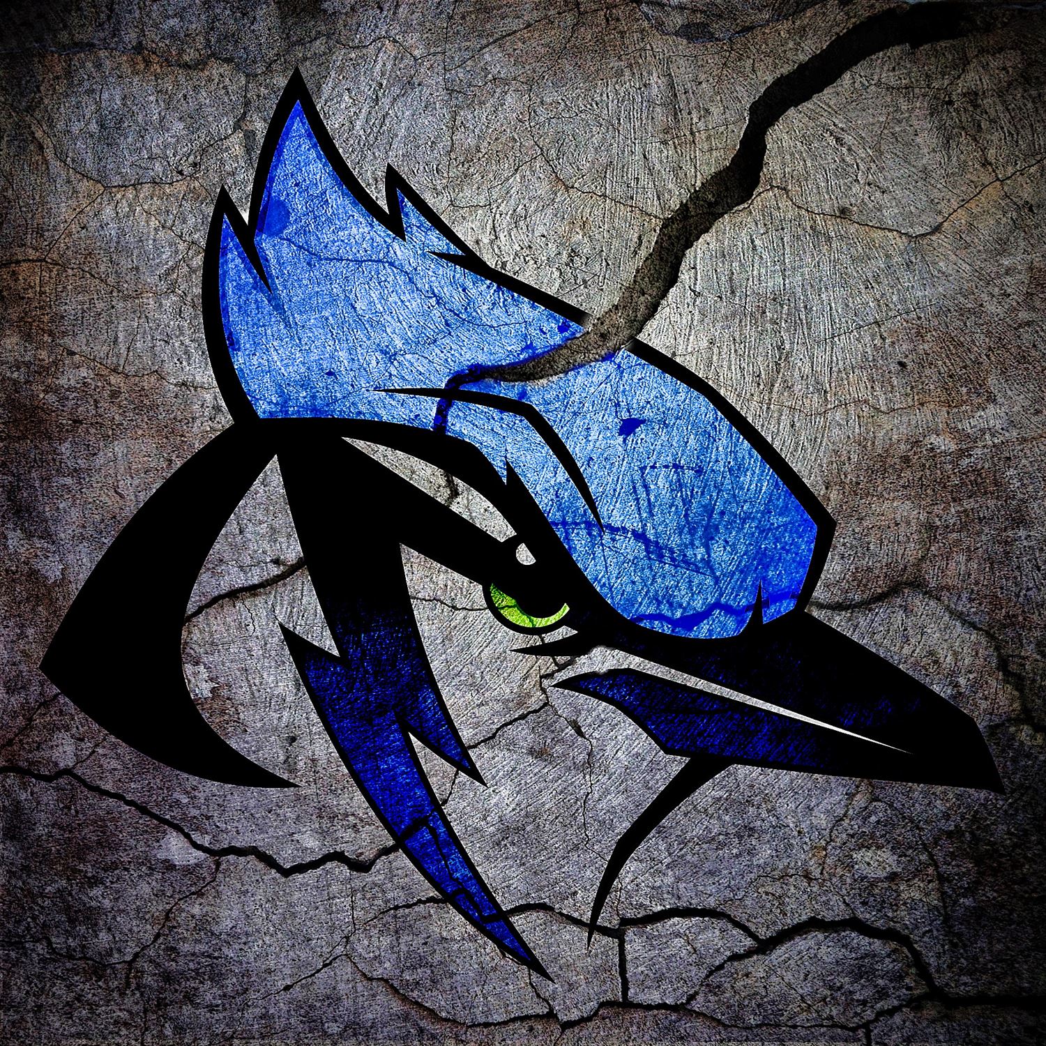 Boys' Varsity Basketball Pleasanton High School Pleasanton, Kansas