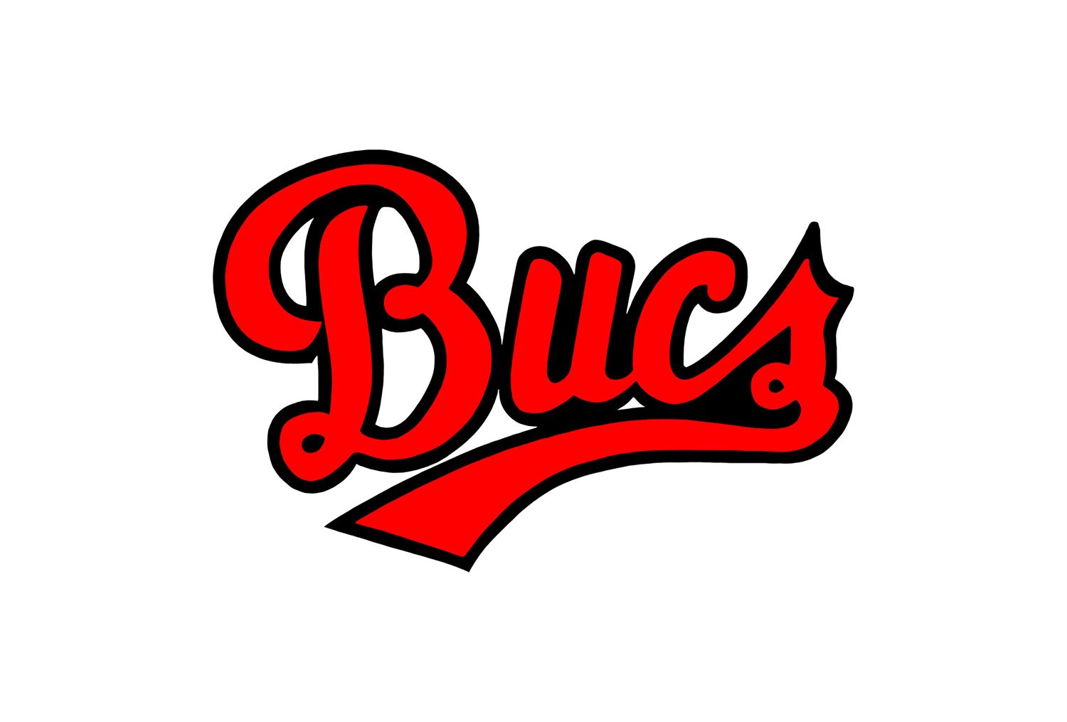 Boys Varsity Football Briarwood Academy High School Warrenton