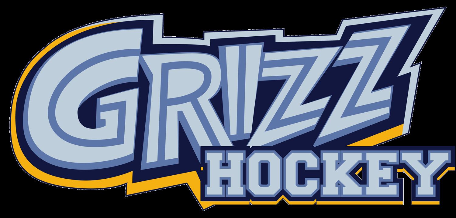 Skyline High School Idaho Falls Hockey Idaho Falls, Idaho Ice