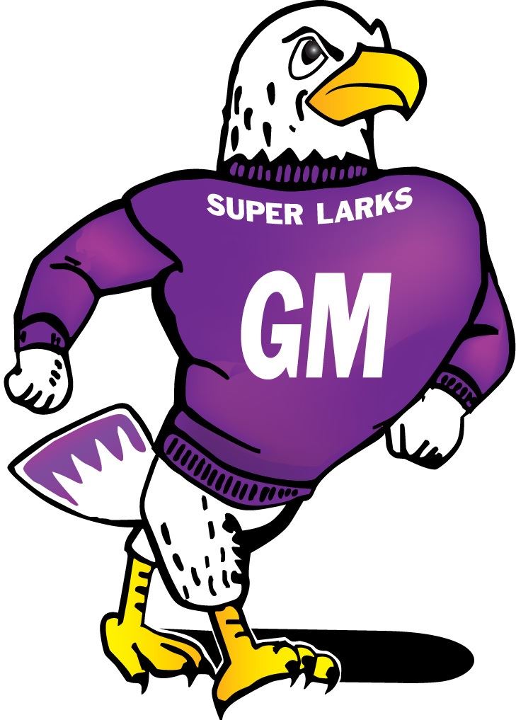 Girls' Varsity Basketball Grand Meadow High School Grand Meadow