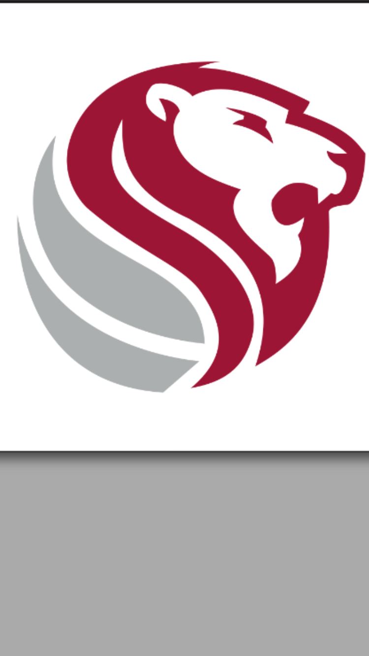 Varsity Boys Basketball Haleyville High School Haleyville, Alabama