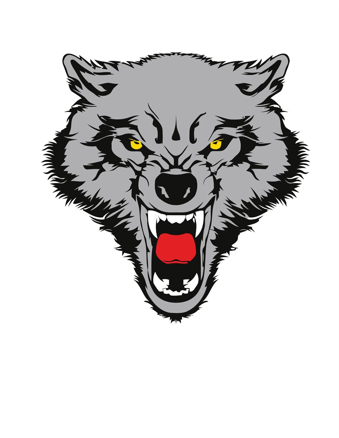 Boys Varsity Football Dilley High School Dilley, Texas Football