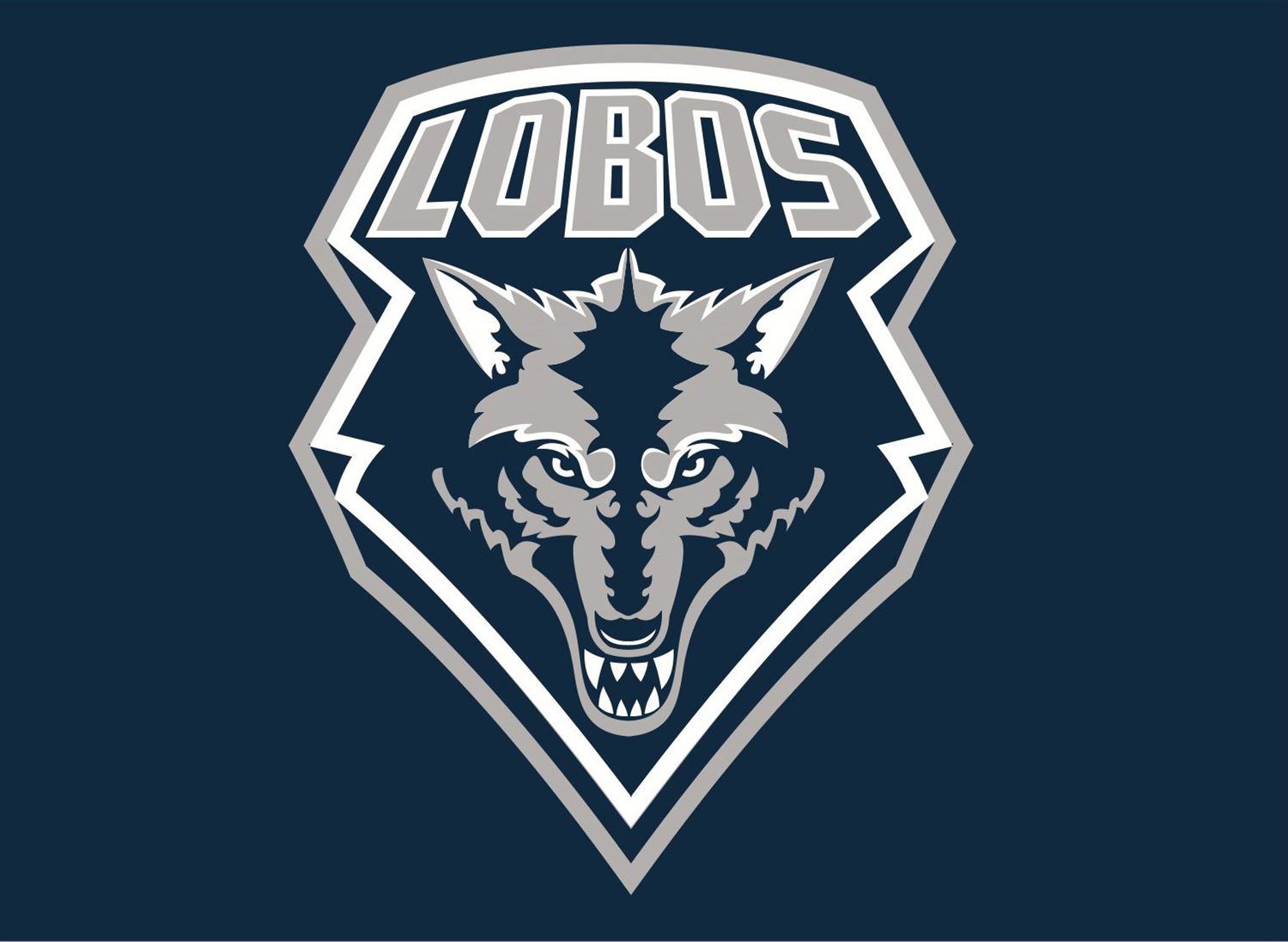 boys-varsity-football-elsie-allen-high-school-san-rosa-california