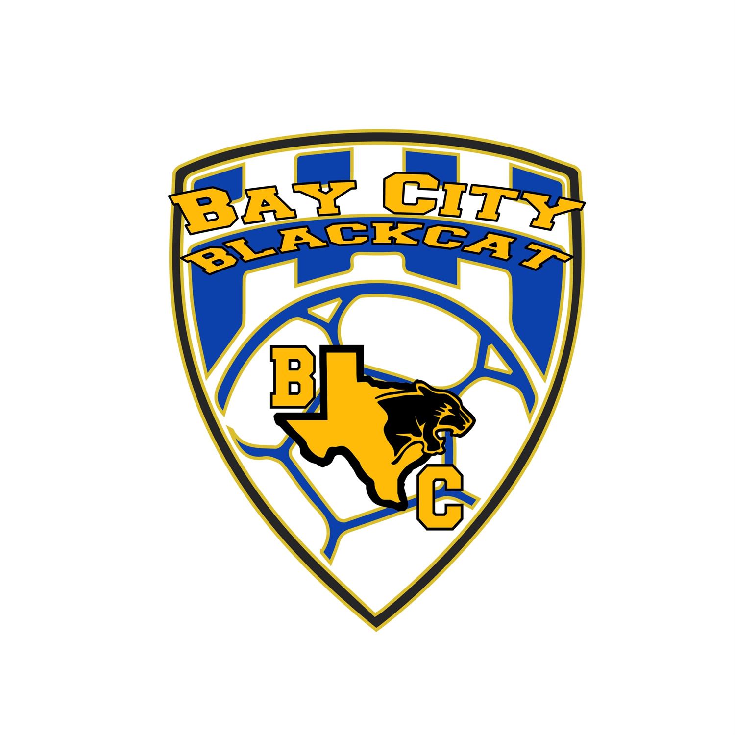 Boys' Varsity Soccer Bay City High School Bay City, Texas Soccer