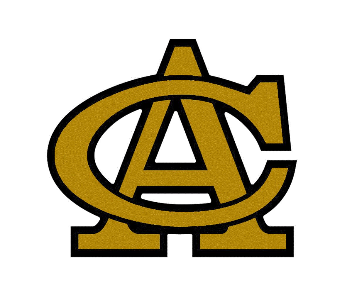 Boys Varsity Football Canton Academy High School Canton