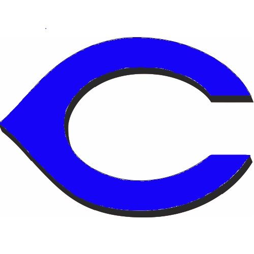 Boys' JV Football Cassopolis Ross Beatty High School Cassopolis