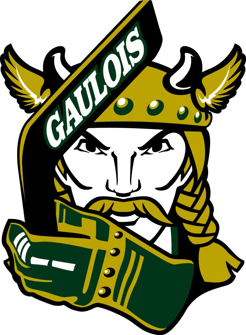 Espoir Gaulois Noir Et Or De Mortagne Boucherville Canada Ice Hockey Hudl