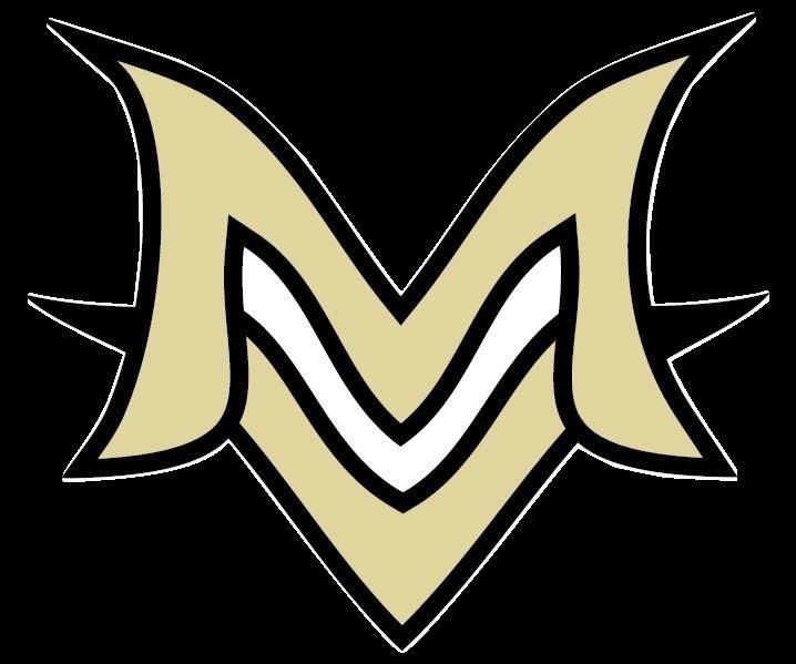 boys-freshman-football-mt-vernon-high-school-fortville-indiana