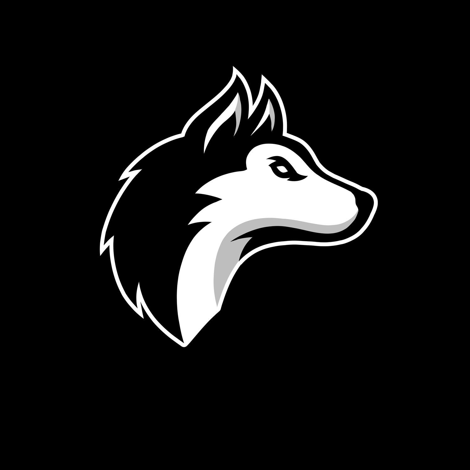 Husky Volleyball Club | Club Sports | Home | Hudl, image size:1500x1500