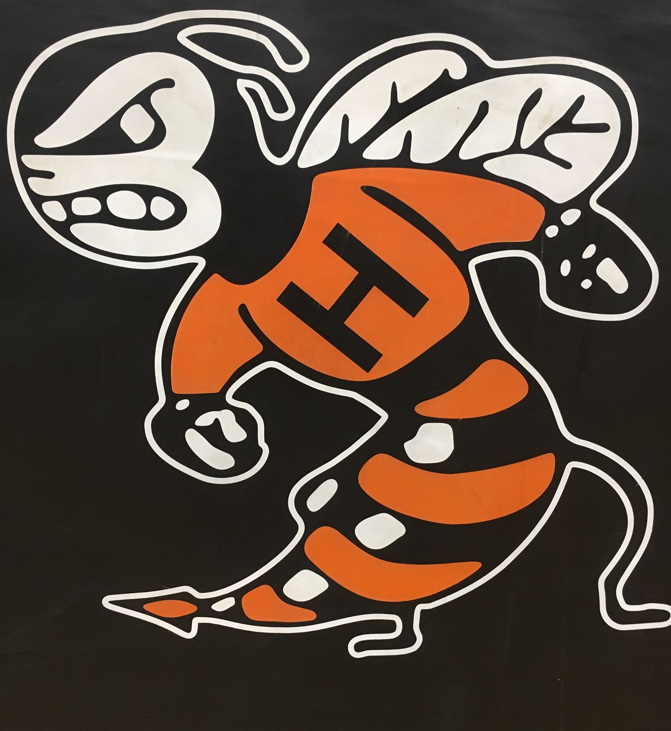 harrisburg-jr-football-harrisburg-high-school-harrisburg-arkansas