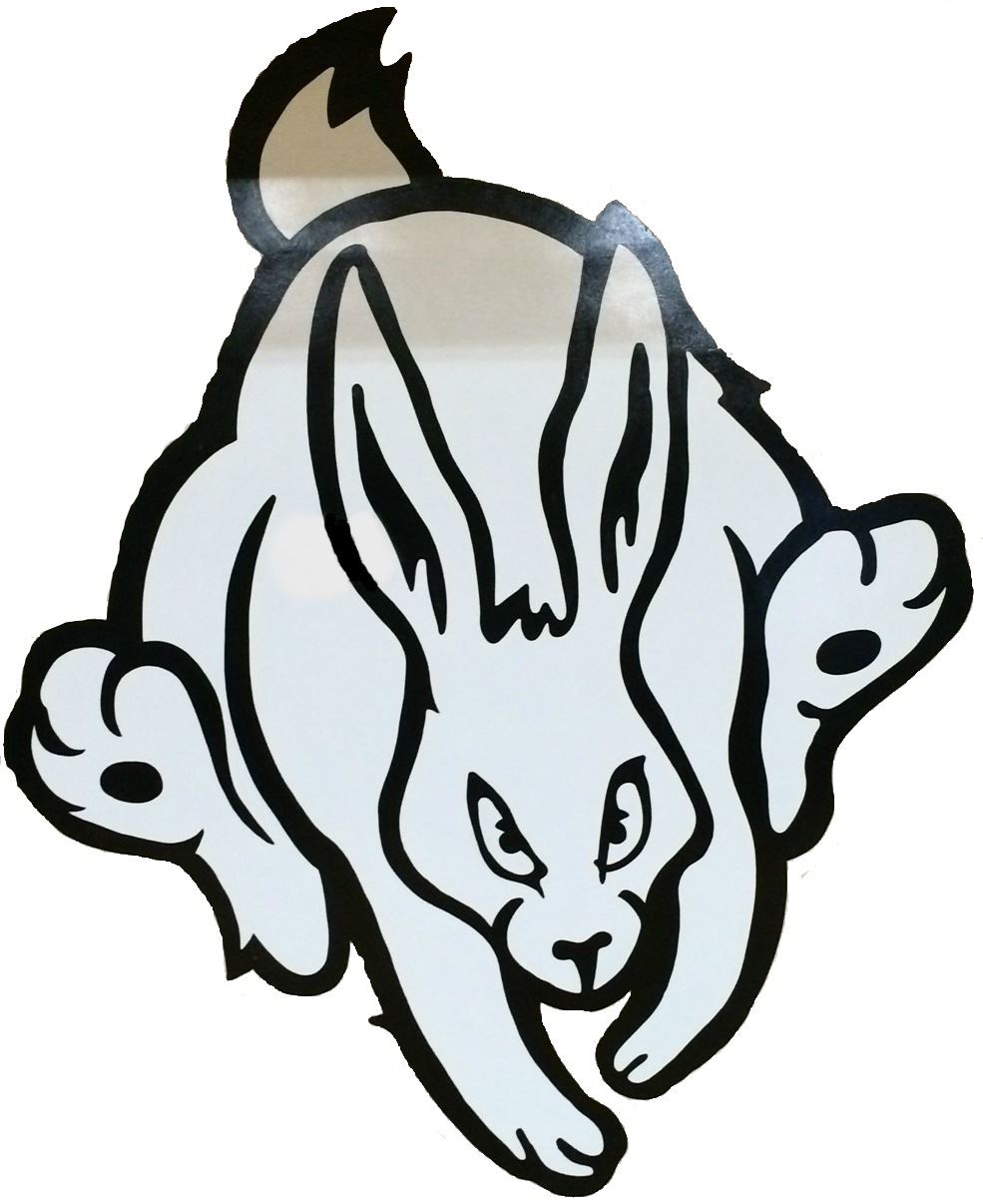 Boys' Varsity Basketball Wabasso High School Wabasso, Minnesota Basketball Hudl