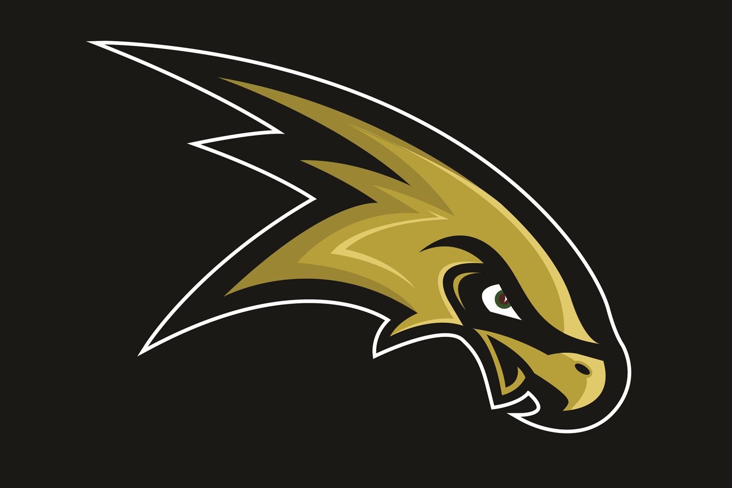 JV Football Team CorningPainted Post High School Corning, New York